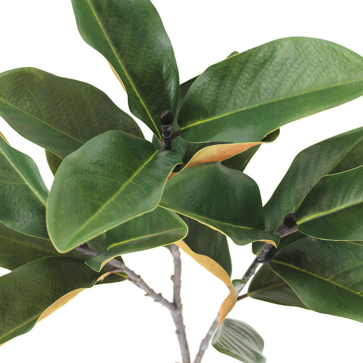 36" Faux Green Magnolia Leaf Stems, Set of 4