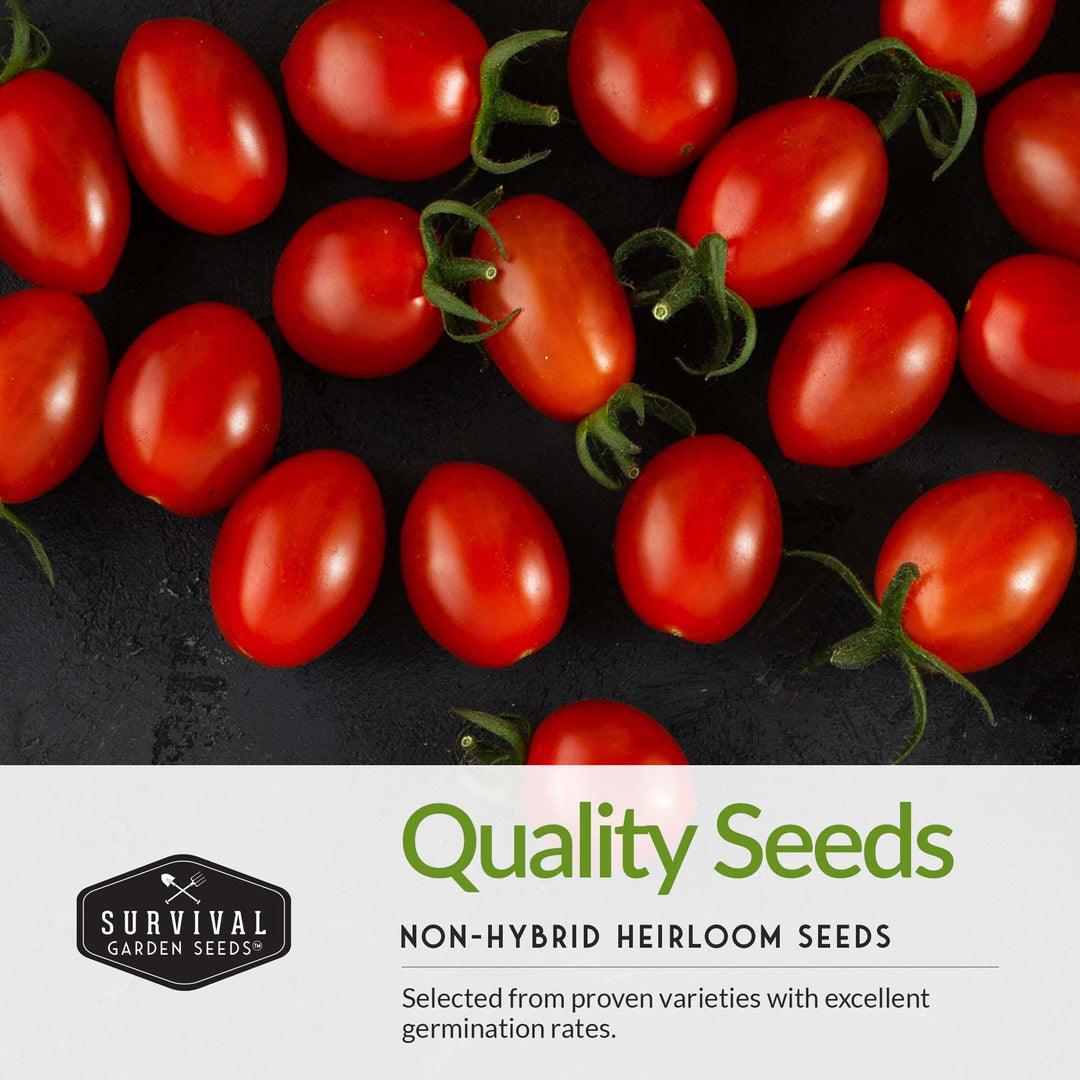 Salsa Garden Seed Collection – 5 Heirloom Non-GMO Varieties for Homemade Red &amp; Green Salsa, Fresh Cooking &amp; Food Preservation