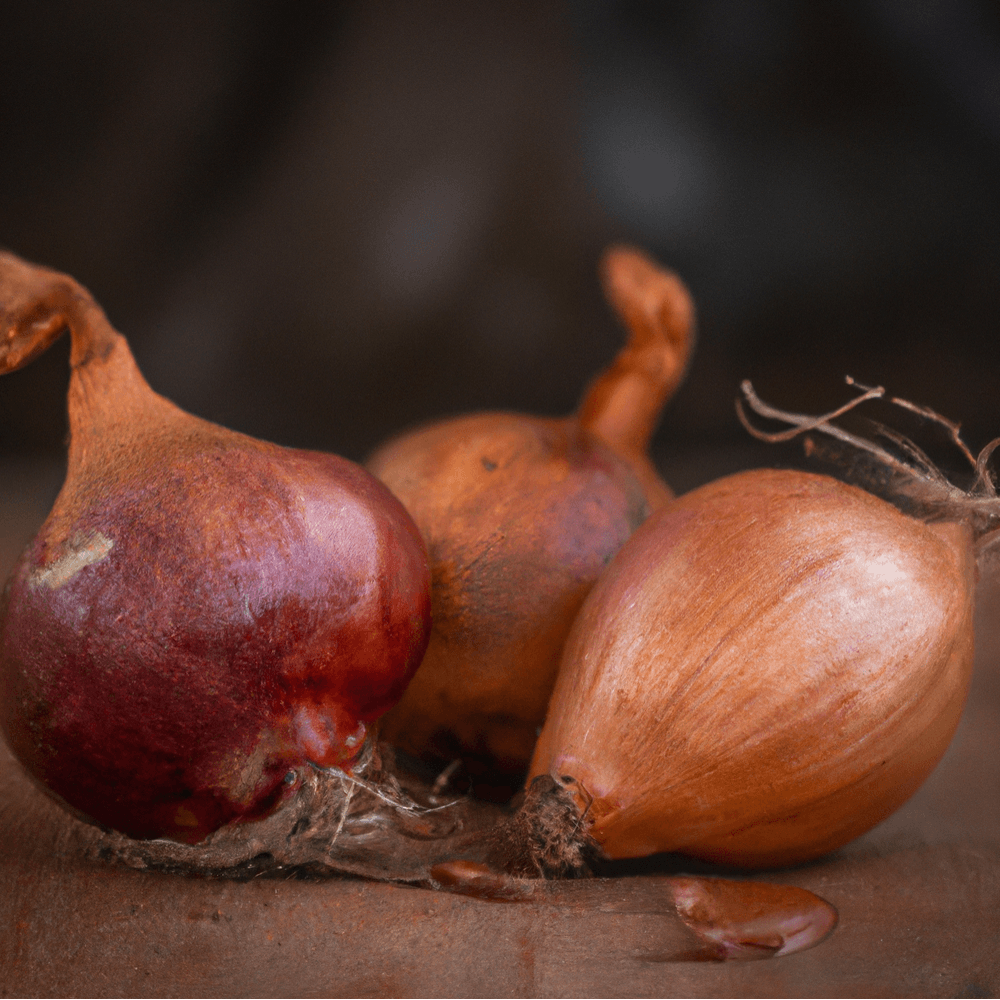 Organic French Red Shallots (lb)