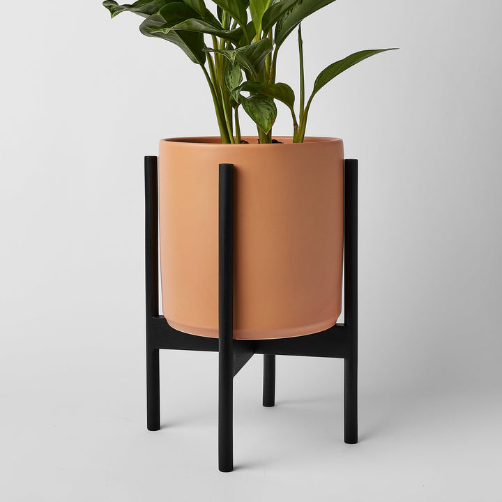 Rounded Hardwood Plant Stand