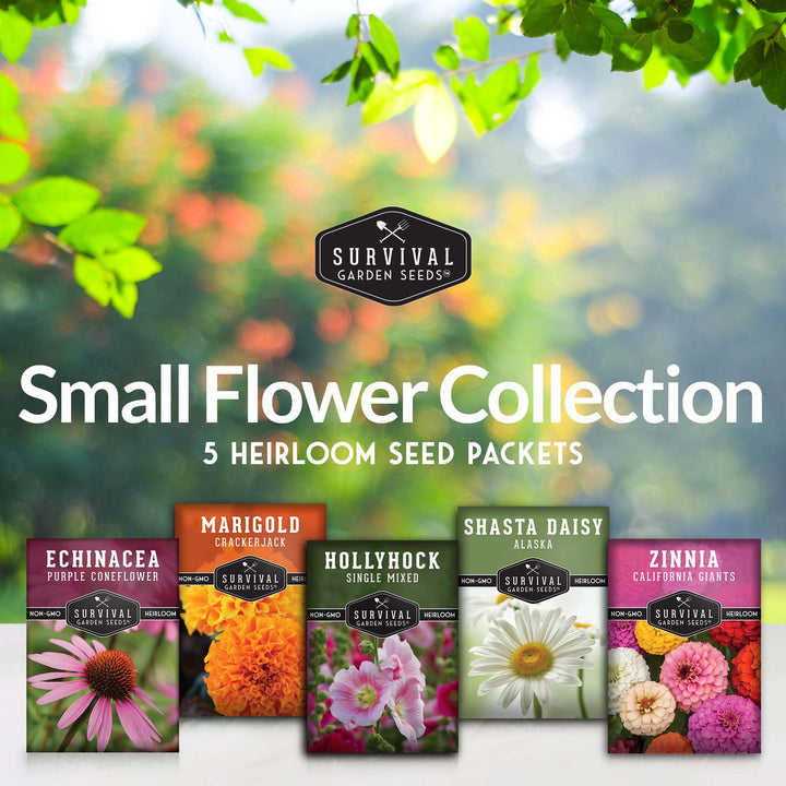 5-Variety Heirloom Flower Seed Collection – Non-GMO Annual &amp; Perennial Blooms for Pollinator Gardens and Cut Arrangements