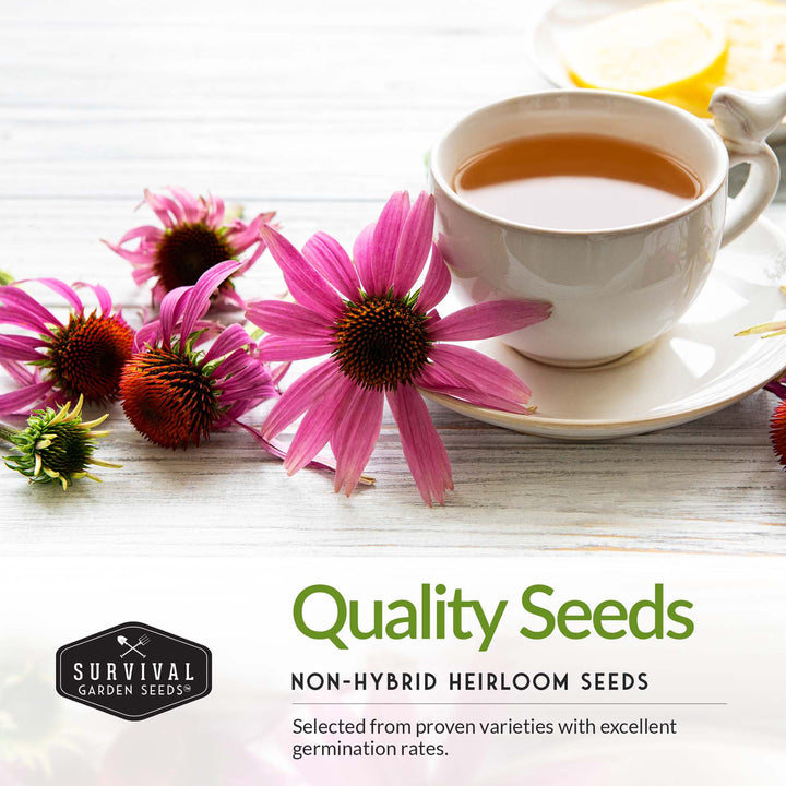 5-Variety Heirloom Flower Seed Collection – Non-GMO Annual &amp; Perennial Blooms for Pollinator Gardens and Cut Arrangements