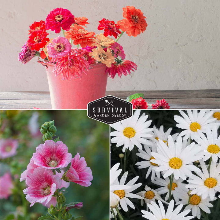 5-Variety Heirloom Flower Seed Collection – Non-GMO Annual &amp; Perennial Blooms for Pollinator Gardens and Cut Arrangements