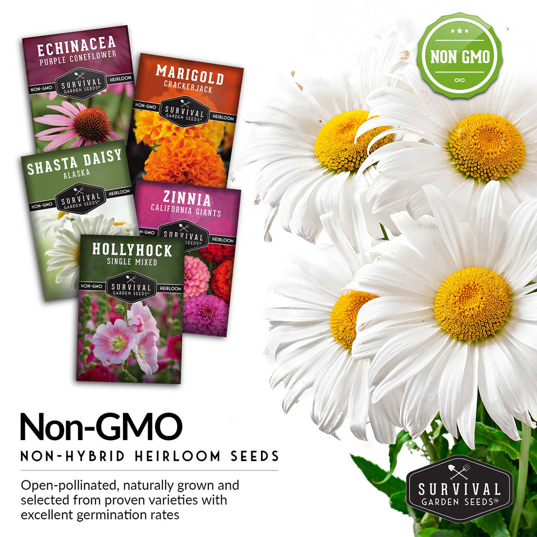 5-Variety Heirloom Flower Seed Collection – Non-GMO Annual &amp; Perennial Blooms for Pollinator Gardens and Cut Arrangements