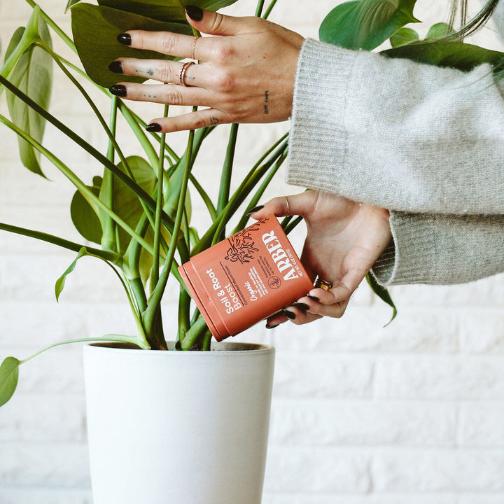 Organic Soil &amp; Root Boost