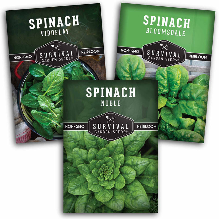 Spinach Seed Collection – 3 Heirloom Non-GMO Varieties: Viroflay, Giant Noble &amp; Bloomsdale for Spring and Fall Gardens