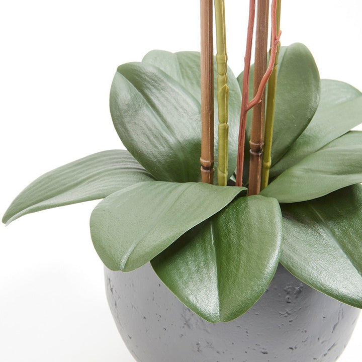 Artificial White Double Stem Orchid
