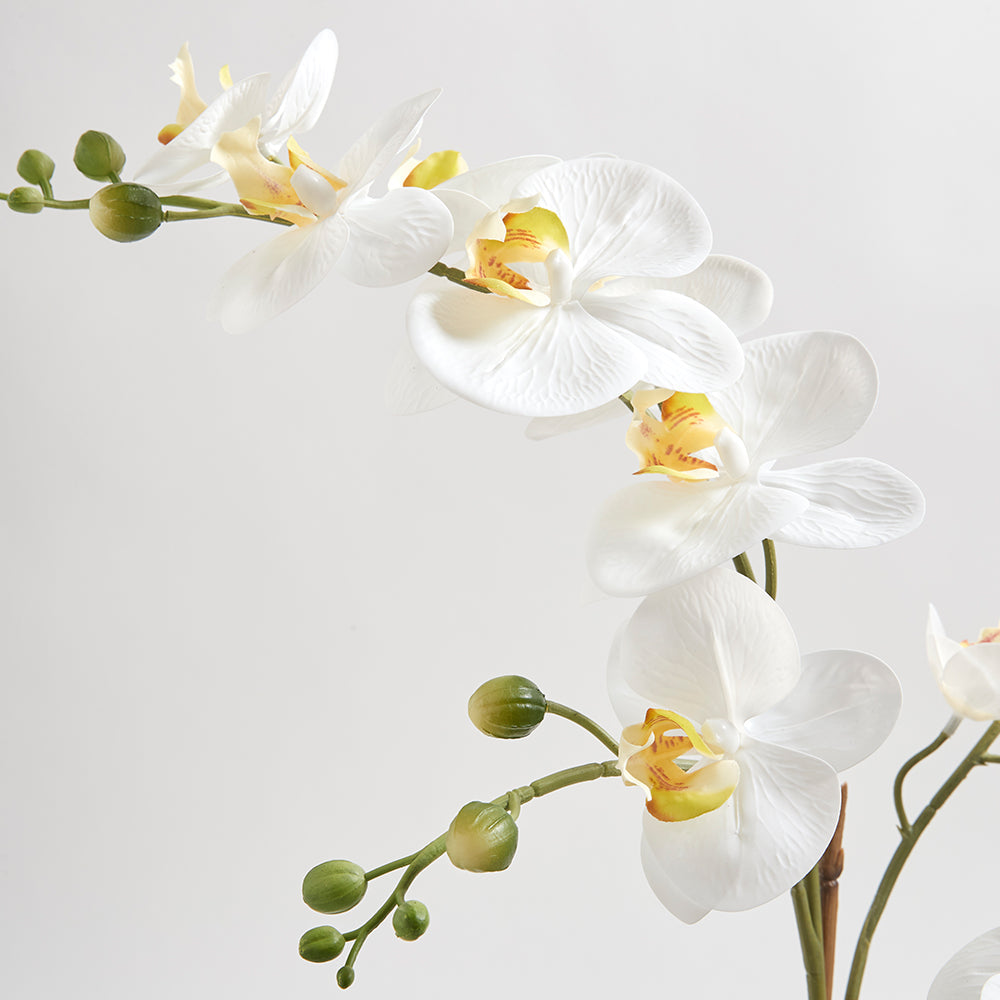 Artificial Orchid with Succulents