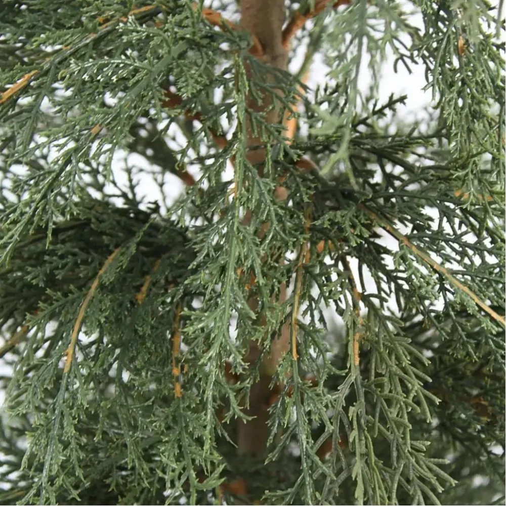 4&