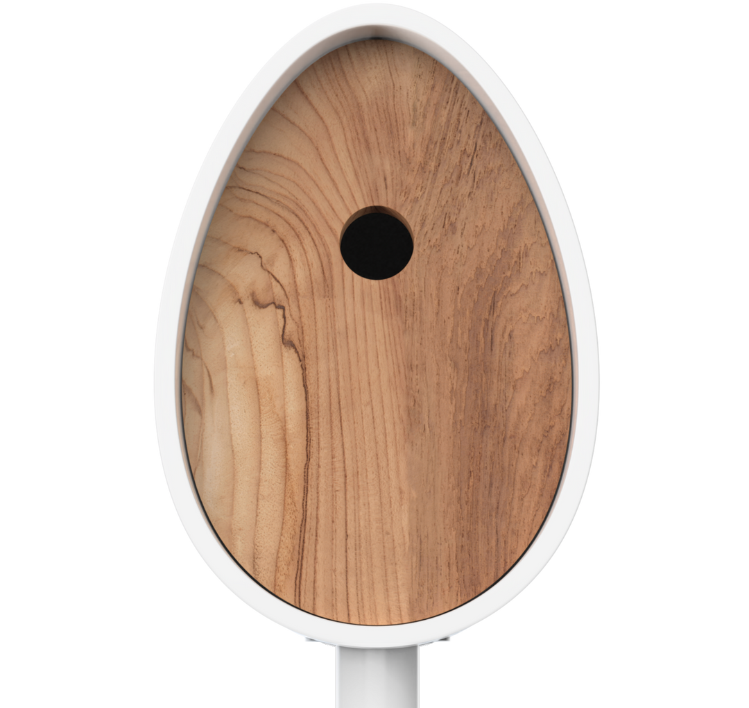 The Peep Show® Video Birdhouse