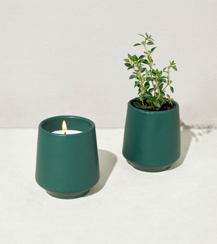 Rooted Candles