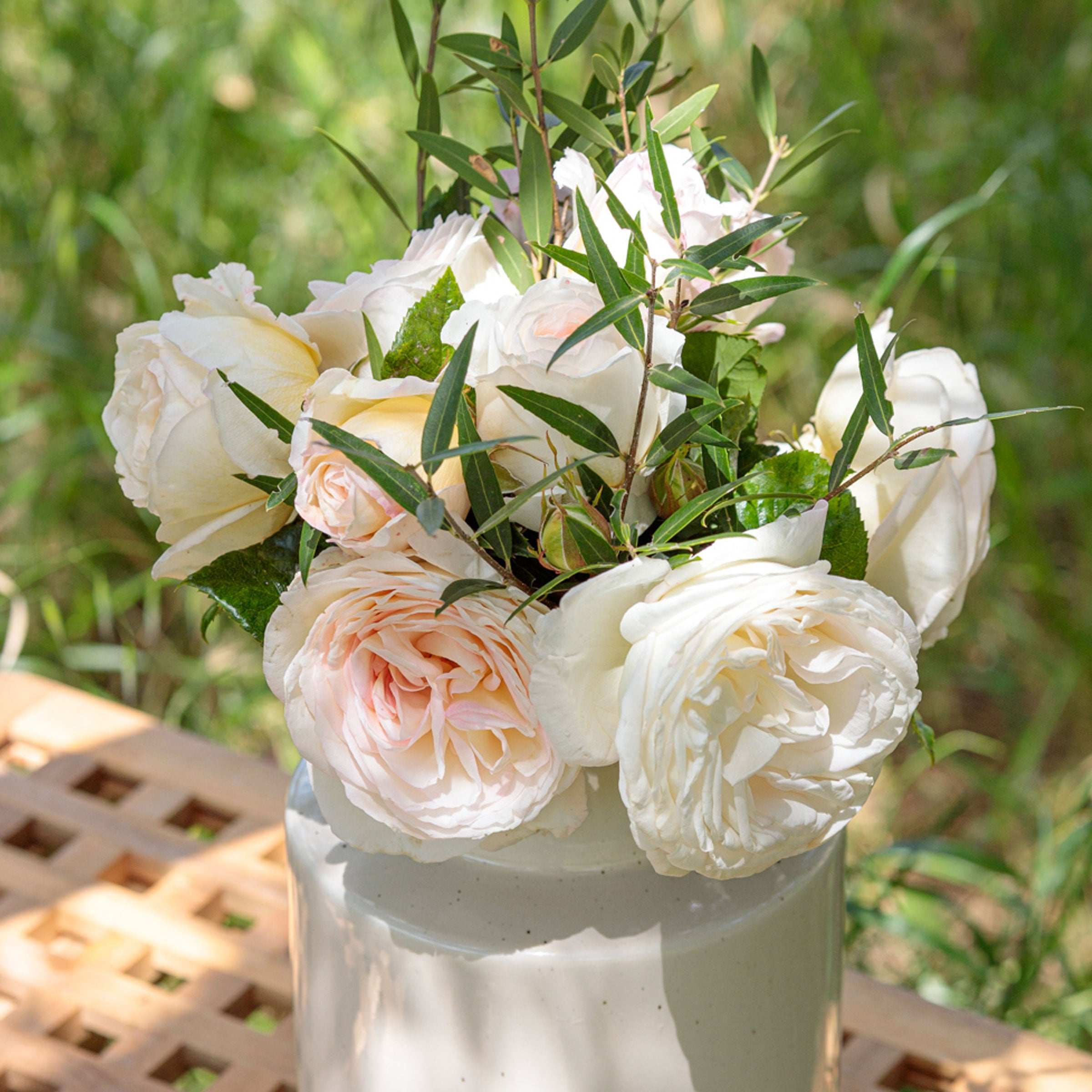 The best white cabbage rose for bouquets