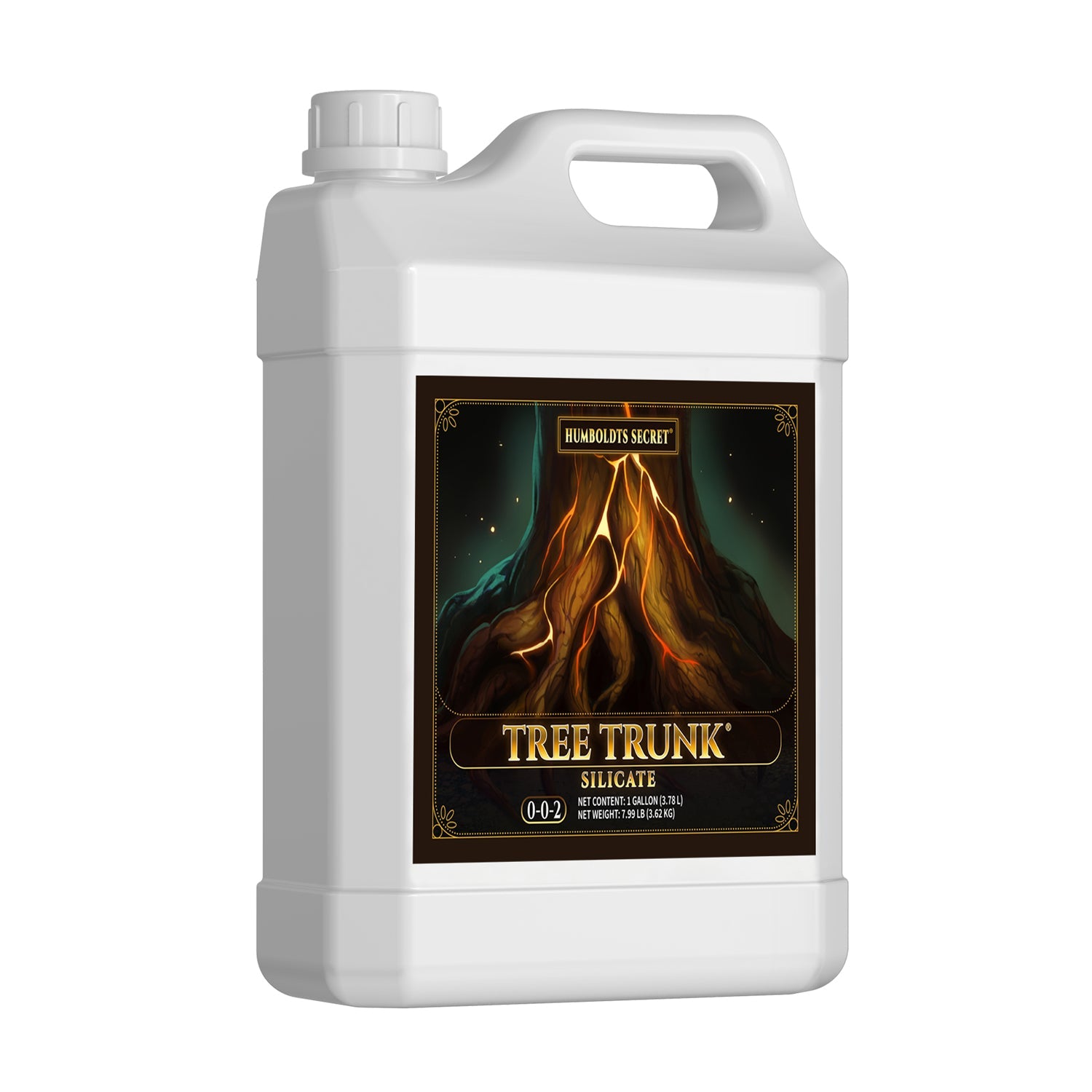 Tree Trunk