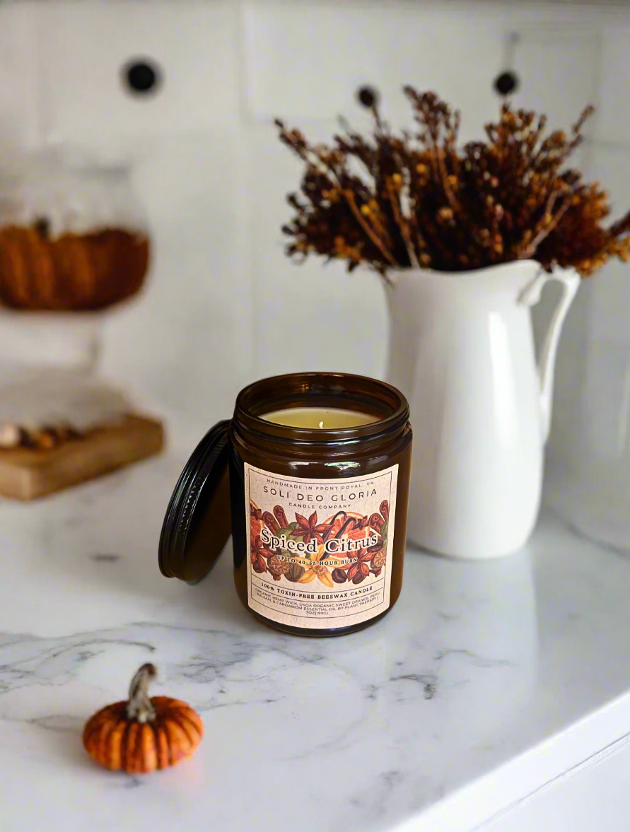 Fall Bundle | 4 Pack | Pumpkin, Spice, Citrus, Warm