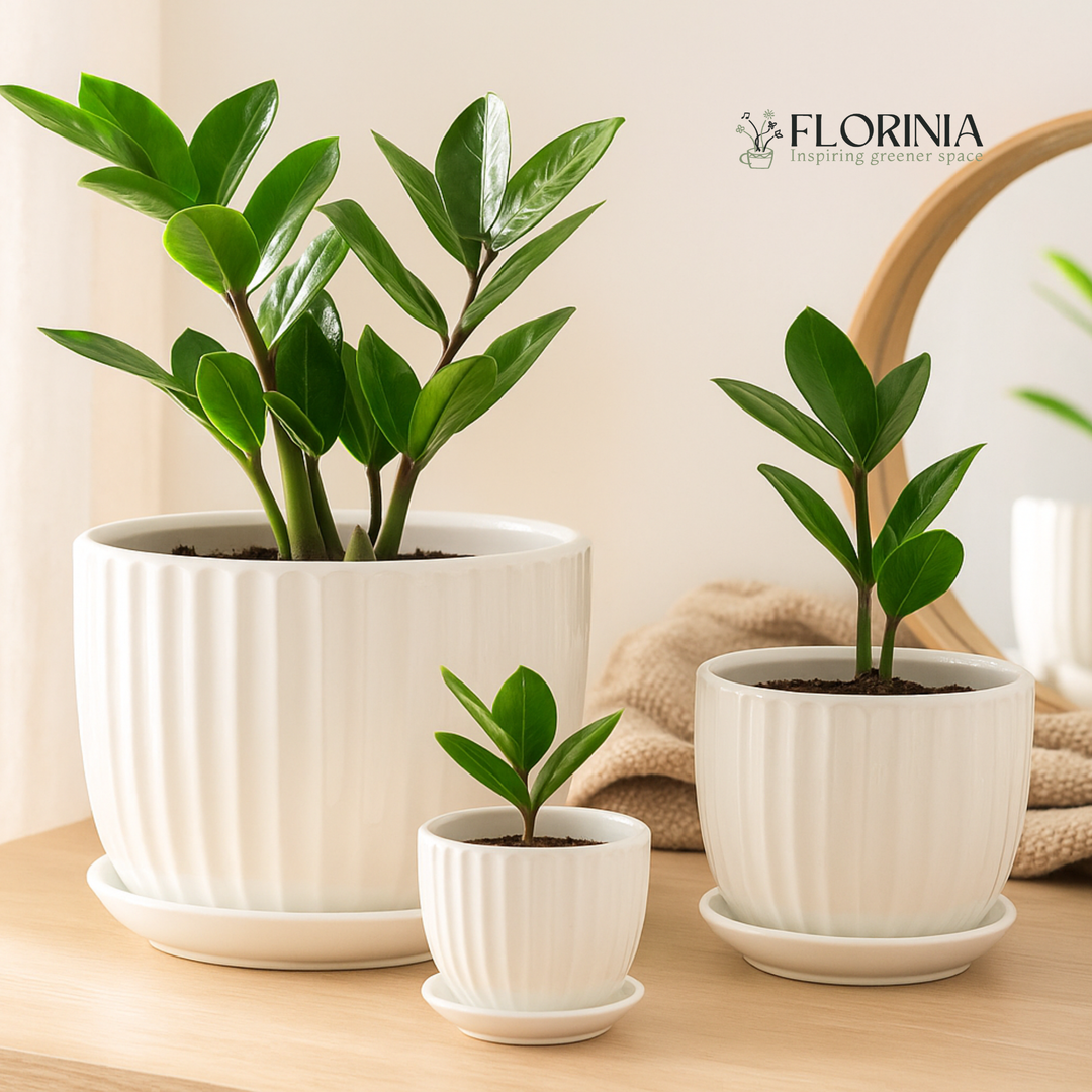 3-Piece White Ceramic Planter Pot Set with Vertical Fluted Design &amp; Matching Saucers