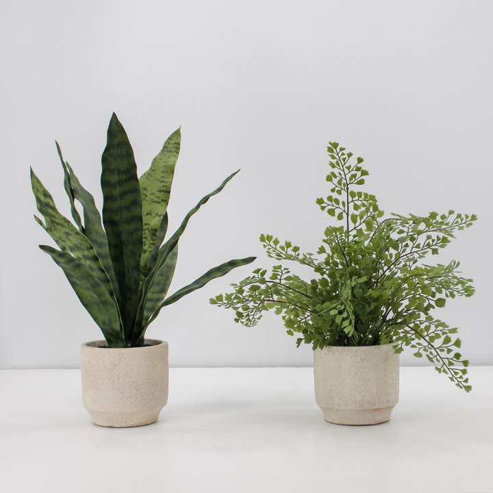 16" Faux Snake Plant &amp; Fern Set