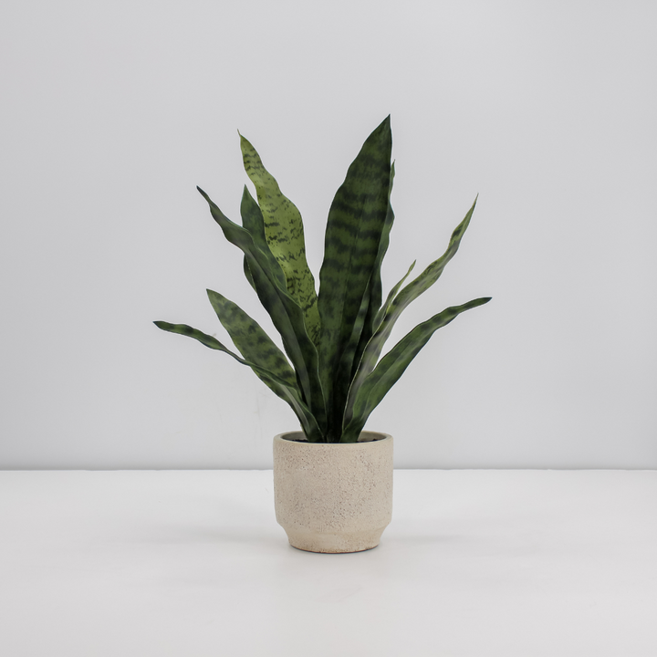 16" Faux Snake Plant &amp; Fern Set