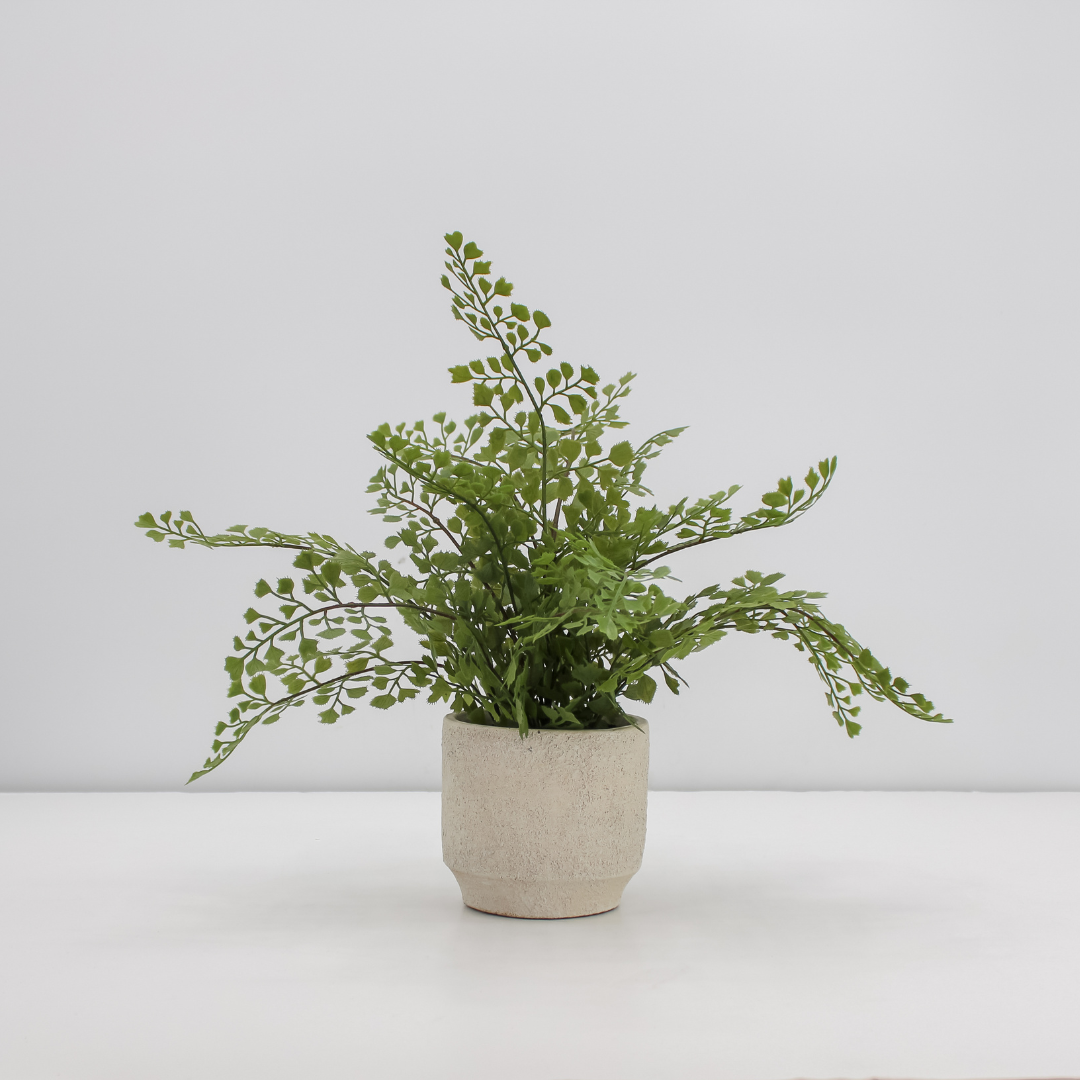 16" Faux Snake Plant &amp; Fern Set