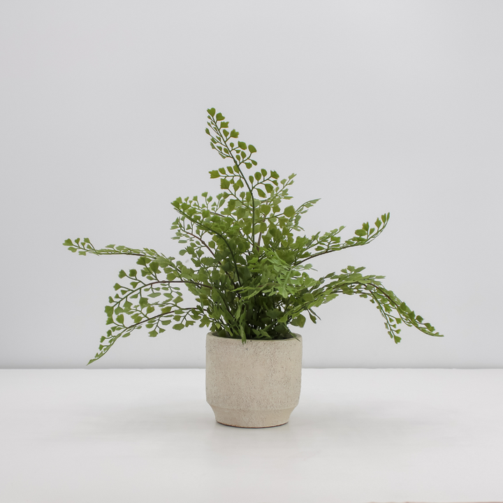 16" Faux Snake Plant &amp; Fern Set