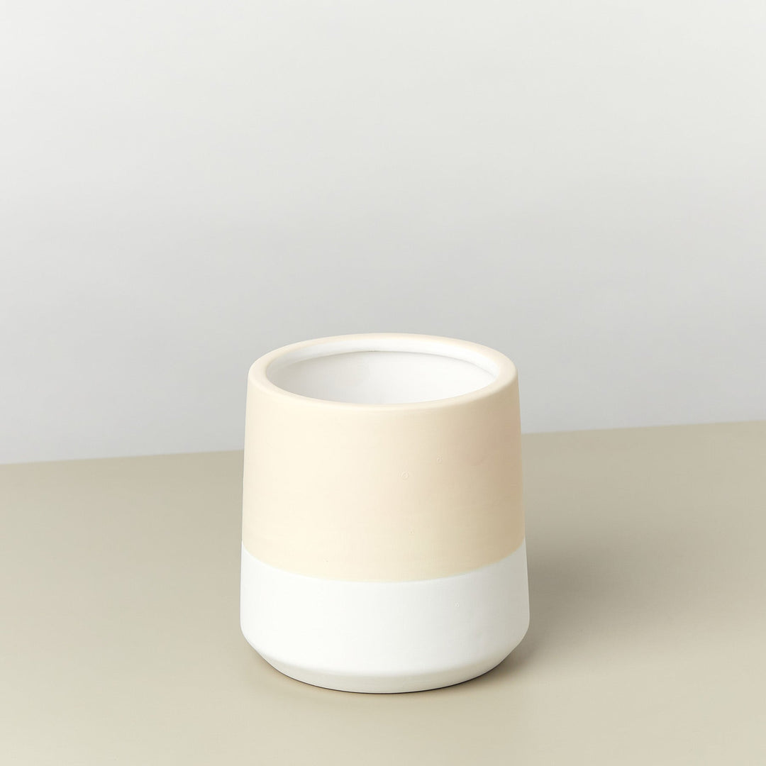 Gradient Cylinder Pot - 5 Inch Live Indoor House Plant