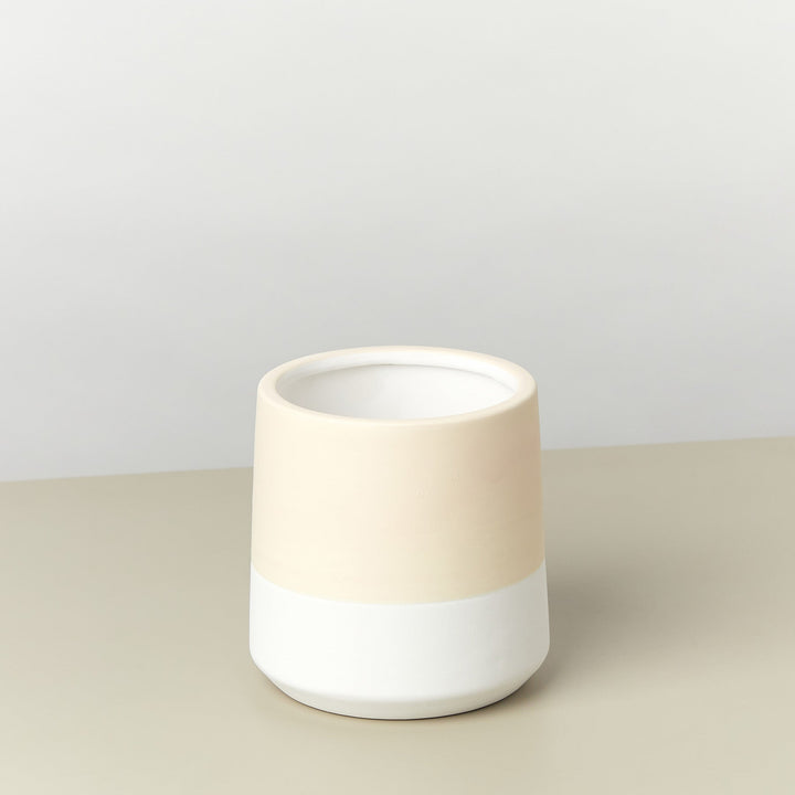 Gradient Cylinder Pot - 5 Inch Live Indoor House Plant