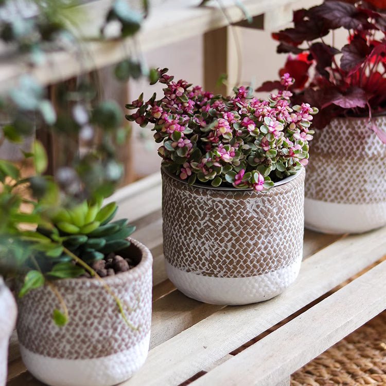 Boho Straw-Look Flower Planter