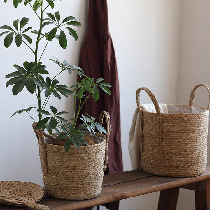 Handwoven Seagrass Basket for Plants
