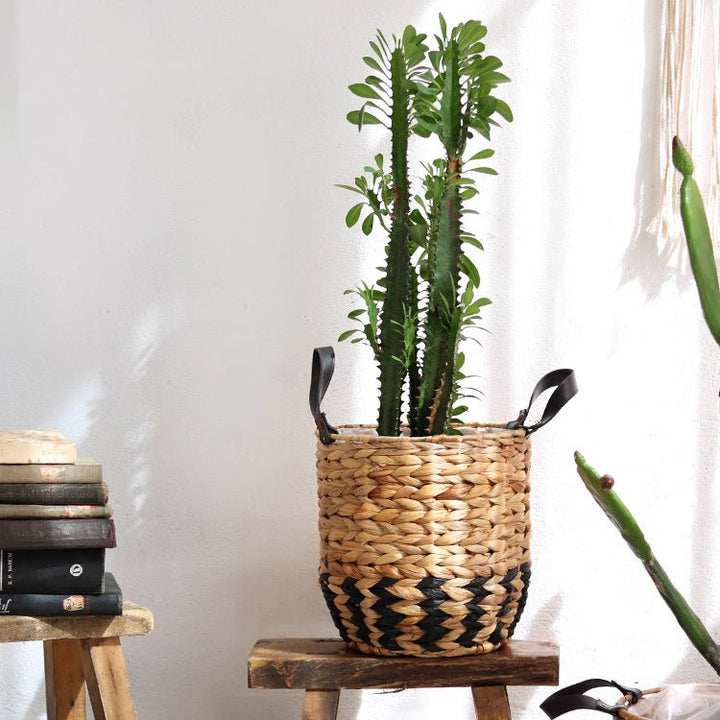 Two-Tone Basket Planter with Leather Handles