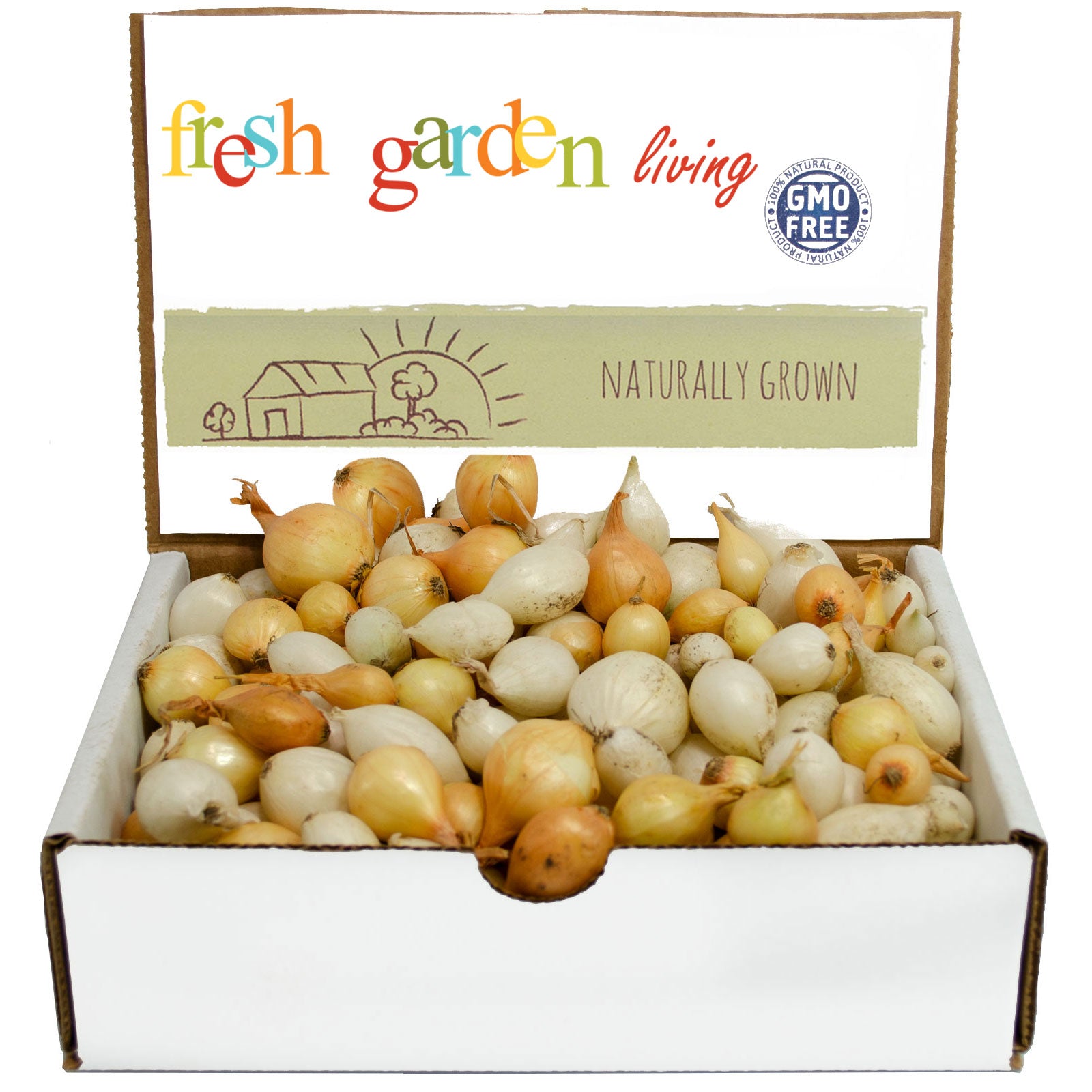 Mixed White & Yellow Onion Sets 1 Lb. Non-GMO