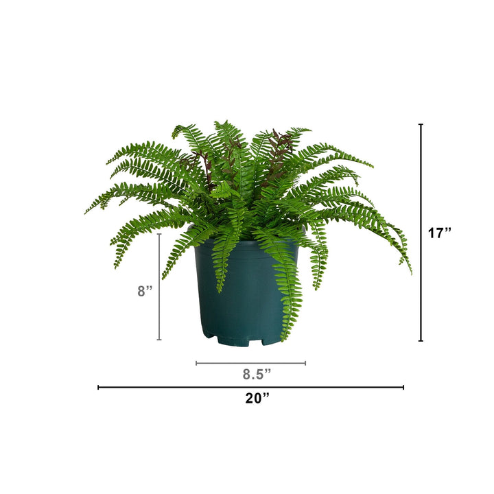 17” UV Resistant Artificial Boston Fern Plant (Indoor/Outdoor)