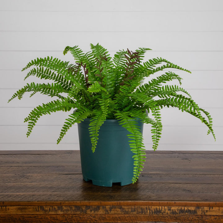 17” UV Resistant Artificial Boston Fern Plant (Indoor/Outdoor)