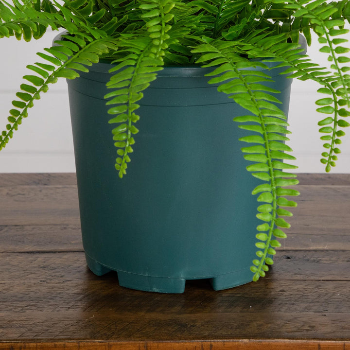 17” UV Resistant Artificial Boston Fern Plant (Indoor/Outdoor)