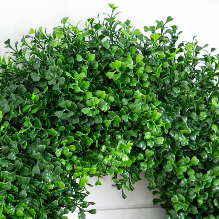 18" Pre-Lit Artificial Boxwood Wreath with 25 Warm White LED Lights