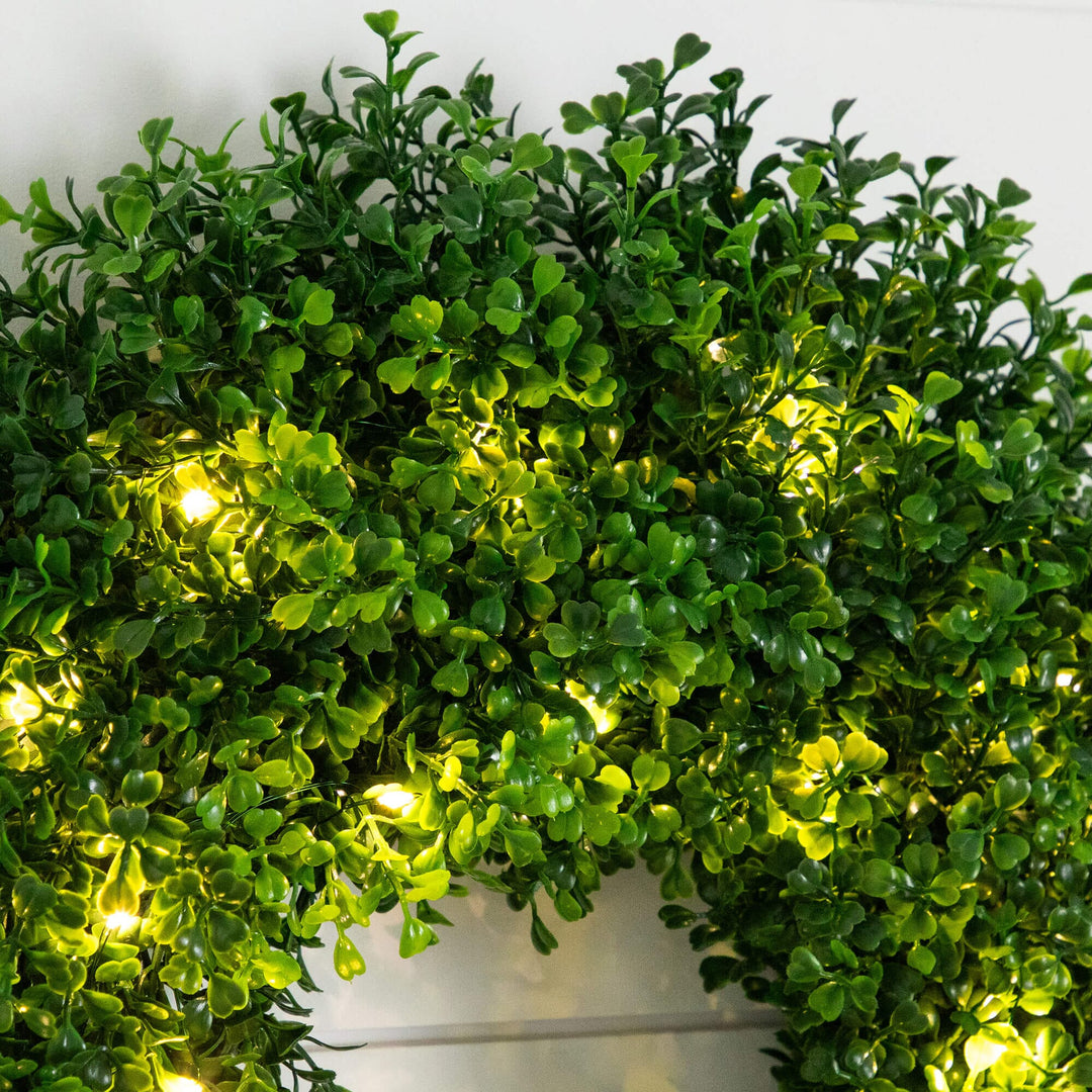18" Pre-Lit Artificial Boxwood Wreath with 25 Warm White LED Lights