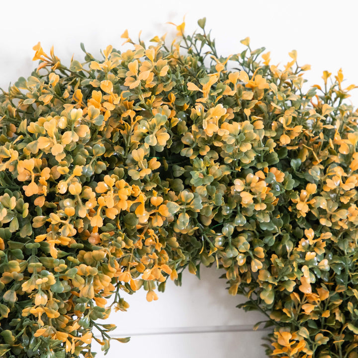 18" Pre-Lit Autumn Boxwood Artificial Fall Wreath with 25 Warm White LED Lights