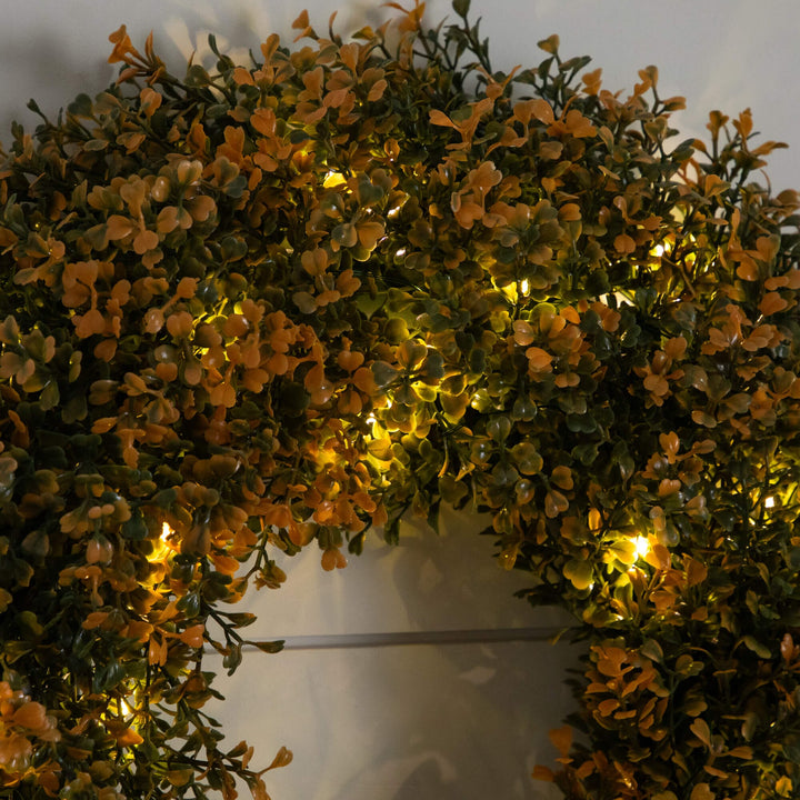 18" Pre-Lit Autumn Boxwood Artificial Fall Wreath with 25 Warm White LED Lights
