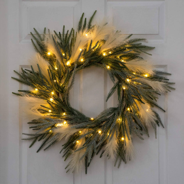 24" Artificial Balsam Fir Pine and Pampas Wreath with 50 Color Changing LED Lights