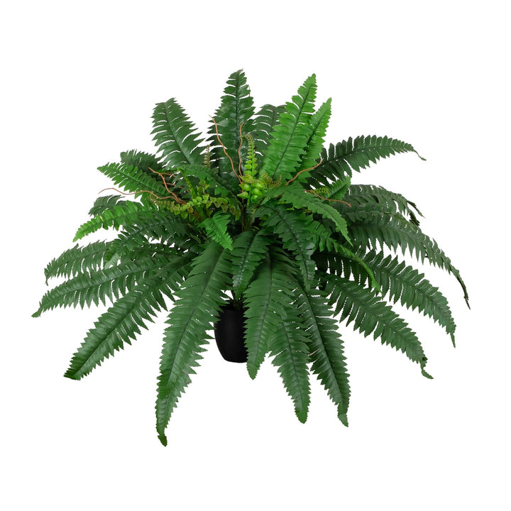 24” Artificial Self-Shaped Boston Fern Plant in Black Planter