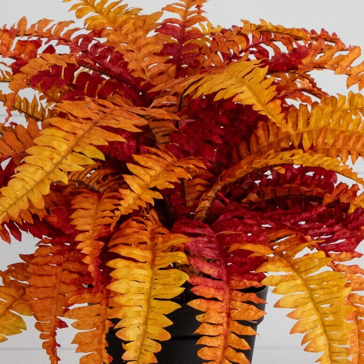 24” Autumn Artificial Fall Boston Fern Plant
