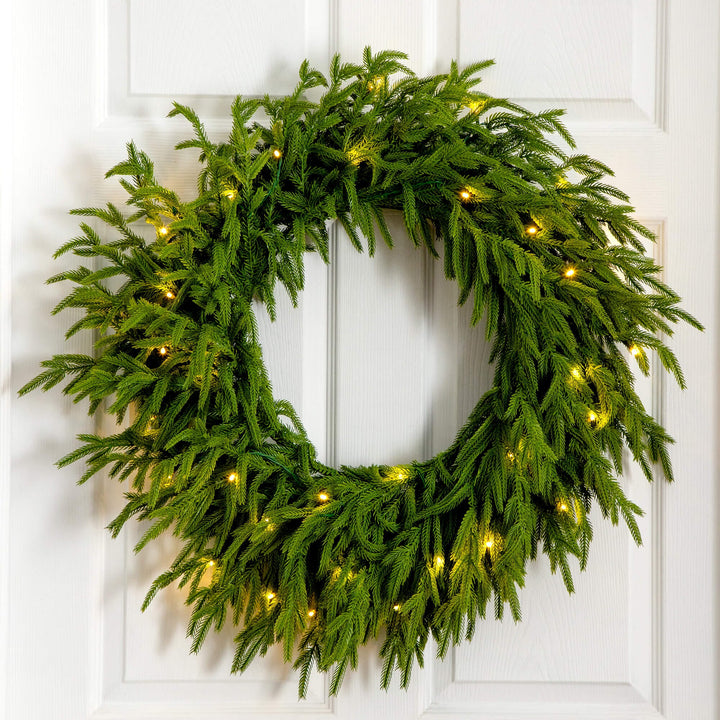 24" Pre-Lit Artificial Real Touch Norfolk Island Pine Wreath with 50 Warm White LED Lights and Natural Look