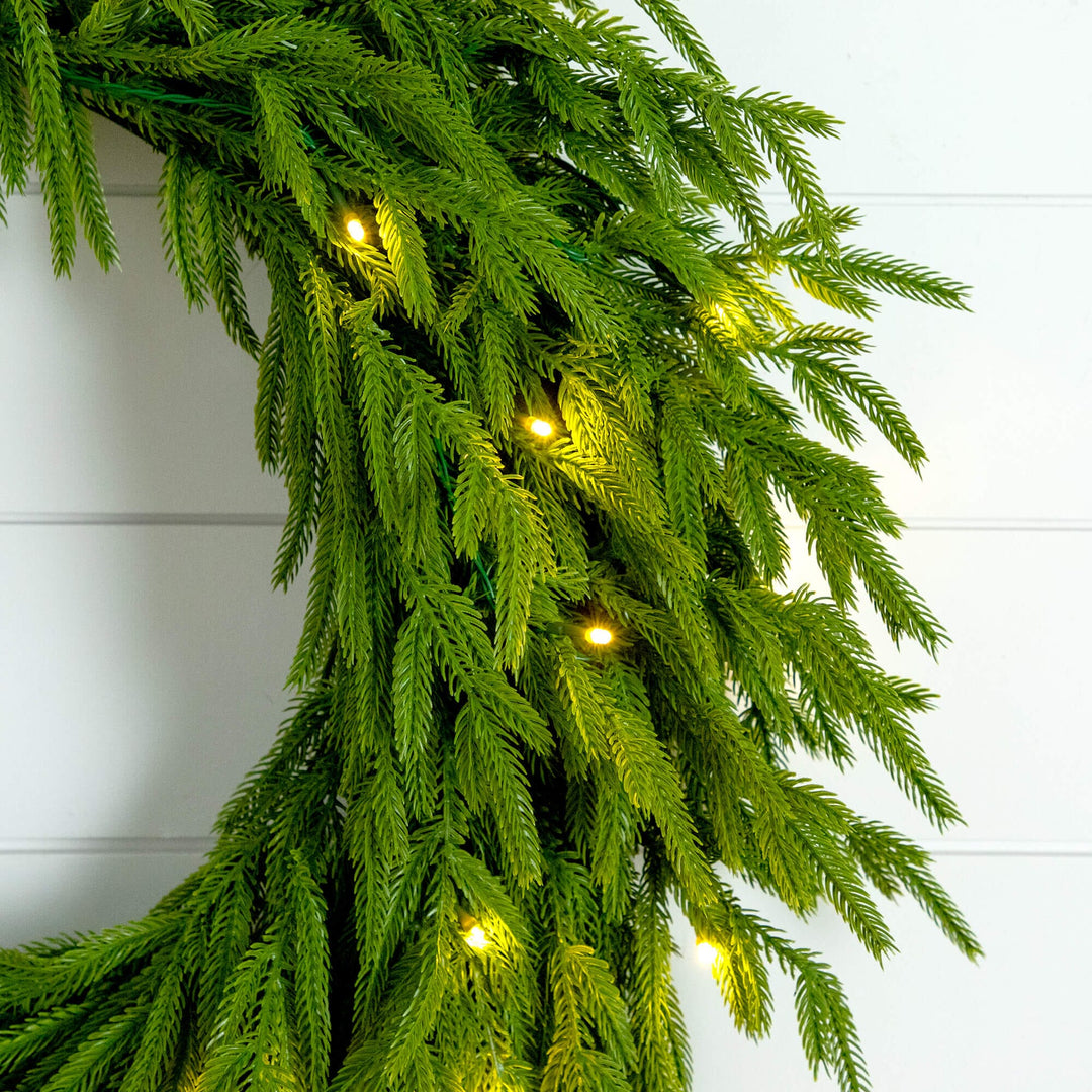 24" Pre-Lit Artificial Real Touch Norfolk Island Pine Wreath with 50 Warm White LED Lights and Natural Look