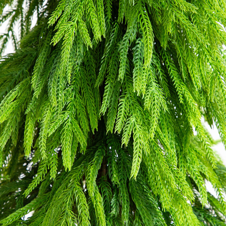 5&