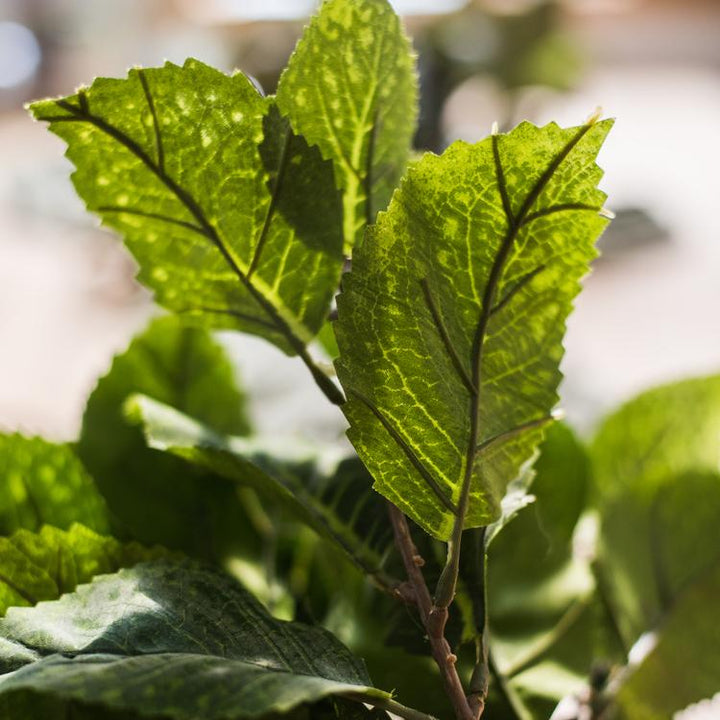 Artificial Hydrangea Leaf Stem 17" Tall