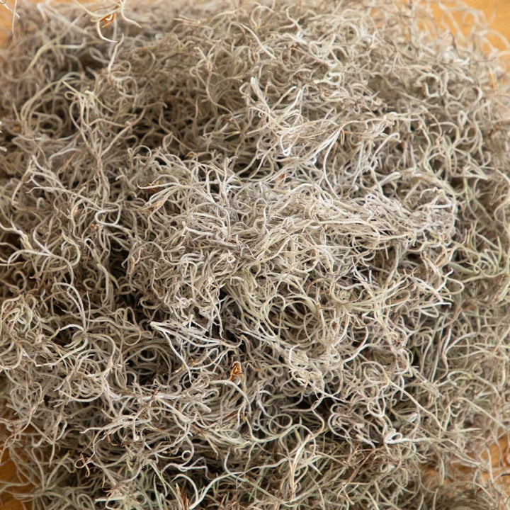 Natural Spanish Moss - 5Lbs