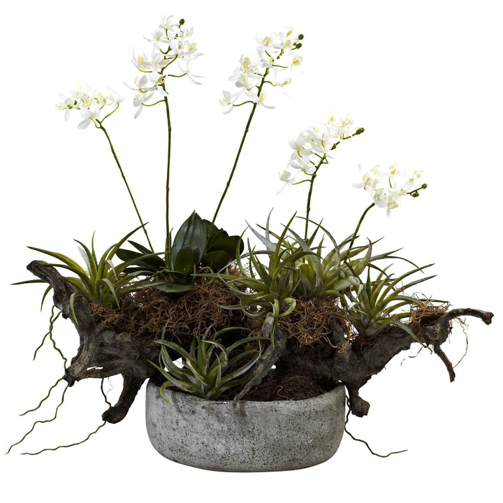 Orchid &amp; Succulent Garden w/Driftwood &amp; Decorative Vase