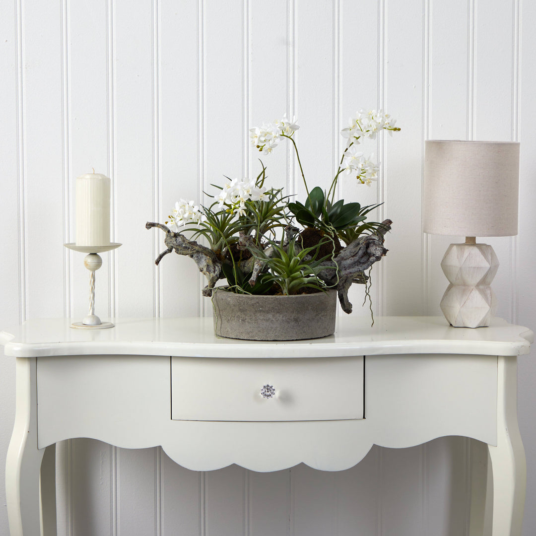 Orchid &amp; Succulent Garden w/Driftwood &amp; Decorative Vase