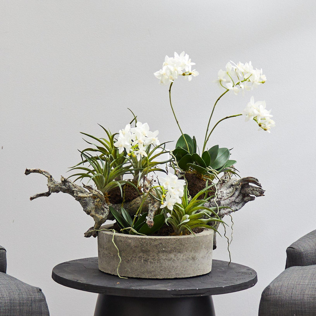 Orchid &amp; Succulent Garden w/Driftwood &amp; Decorative Vase