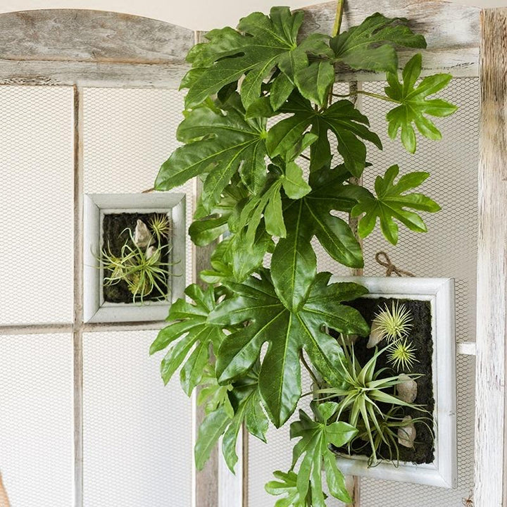 Artificial Plant Fatsia Leaf Vines 32" Long