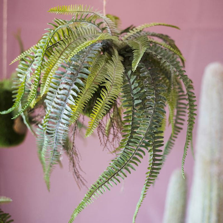 Artificial Plant Hanging Fern Plant Décoration