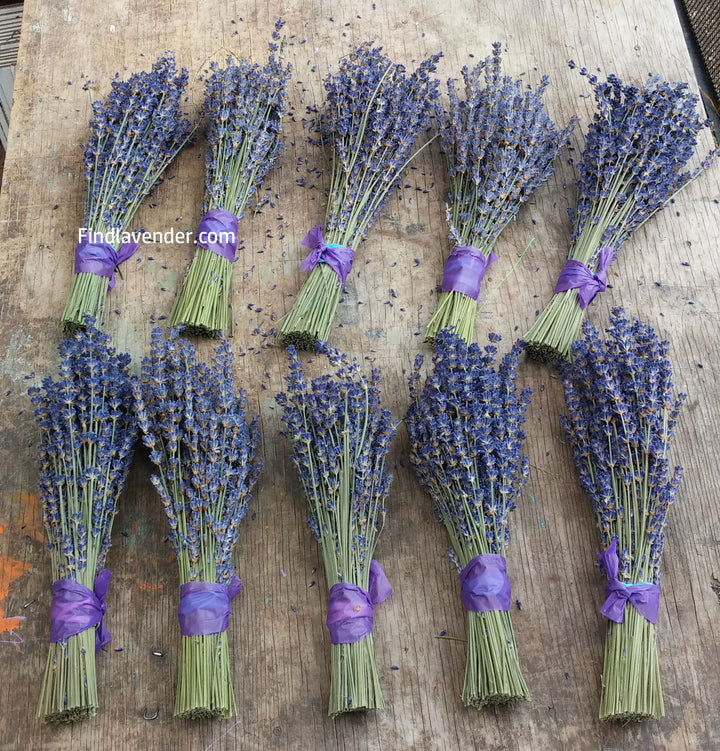 Royal Velvet Culinary Lavender Bundles - 10 Pack Food Grade Dried